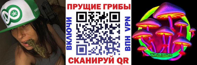 Псилоцибиновые грибы GOLDEN TEACHER  Енисейск 