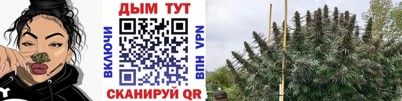 Бошки марихуана LSD WEED  Енисейск 